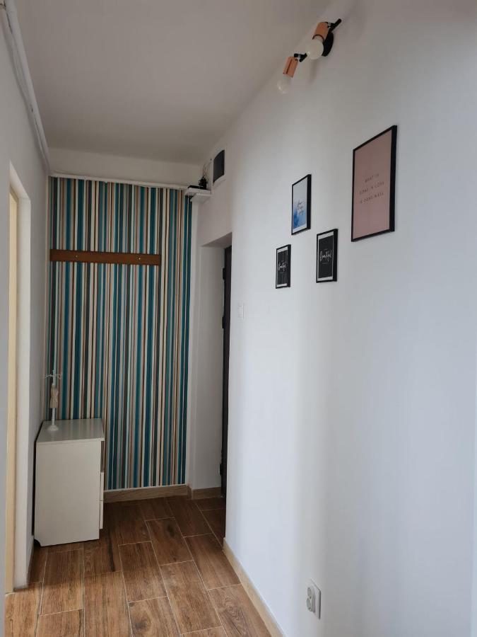 Dddd Apartament Cavnic Bagian luar foto