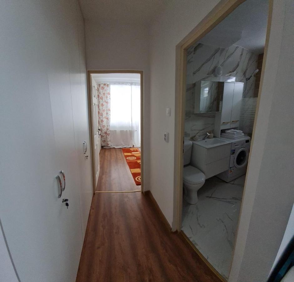 Dddd Apartament Cavnic Bagian luar foto