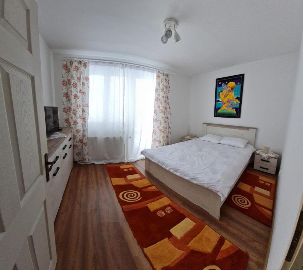 Dddd Apartament Cavnic Bagian luar foto